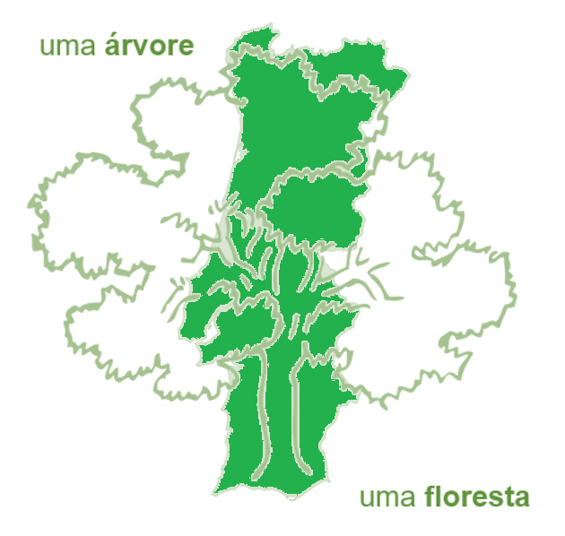 EPATV recebe menção honrosa em concurso - Uma árvore, uma floresta